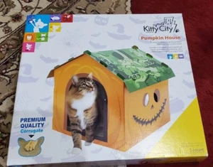 Sealed In Box Kitty City Pumpkin House Scratch Post Board Cat Toy Halloween - Picture 1 of 1