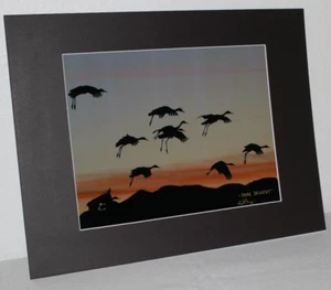 Sandhill Cranes Wildlife Photo 8" x 10" in 11" x 14" Matte Signed by Kim Barry - Picture 1 of 5