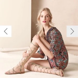 $525 New Stuart Weitzman "Sparta" Brown Camel Nappa Leather Gladiator Boots - Picture 1 of 9