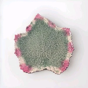 Bordallo Pinheiro Portugal Grape Leaf Majolica 9x9.5 - Picture 1 of 3