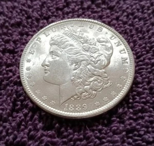 1889 Morgan dollar, Select Brilliant Uncirculated - good specimen from worn dies - Picture 1 of 3