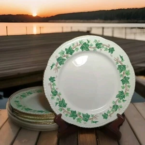 6 Homer Laughlin Green Ivy Liberty Pattern A52N6 Dinner Plate 1949 USA  10" - Picture 1 of 7