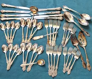 Set 48 Pezzi Posate WM Rogers International Argento Piatto Extra Grande Eleganza - Foto 1 di 13