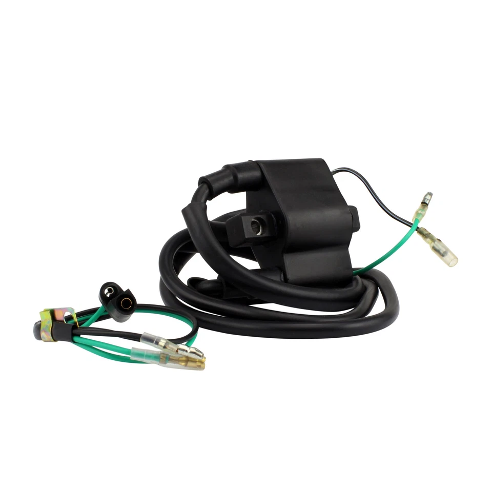 Bobina de encendido para Arctic Cat Bearcat Cheetah Cougar Wildcat 1987-2002 3005-185 Foto 1 de 4