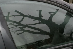 SCHEIBE SEITEN TÜRSCHEIBE GLAS Chevrolet Daewoo Evanda vorne rechts 2003-2007 - Bild 1 von 2