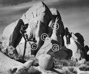 Book Plate Ansel Adams B/W 7.25 x 8.75" Rocks, Joshua Tree Natl Monument CA 1942 - Picture 1 of 2