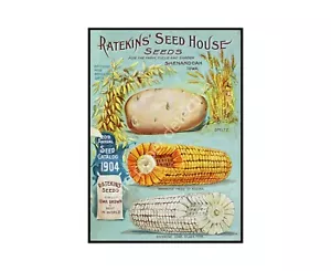 Diario de jardín y arte de pared de cocina, dos impresiones de 5" x 7", cubiertas de catálogo de paquetes de semillas - Imagen 1 de 2