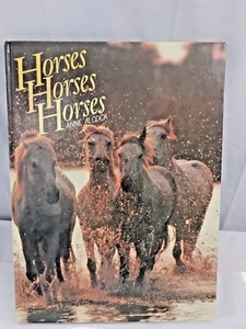 Horses Horses Horses by Anne Alcock Hardcover Coffee Table Book - Picture 1 of 10