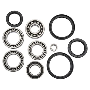 All Balls Differential Bearing & Seal Kit for 2008-2009 Arctic Cat 366 4x4 Auto - Picture 1 of 2