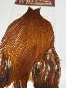 Whiting Eurohackle Cape: weiß braun gefärbt - bei Whiting nicht mehr erhältlich - Bild 1 von 4