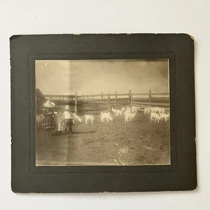 Vintage Foto Kinder mit Ziegen Schrankkarte um 1900 - Bild 1 von 8
