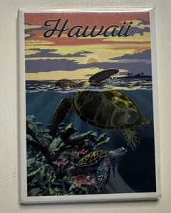 Hawaii LANTERN PRESS Magnet 3.5" x 2.5" USA Made tourist souvenir grad gift - Picture 1 of 4