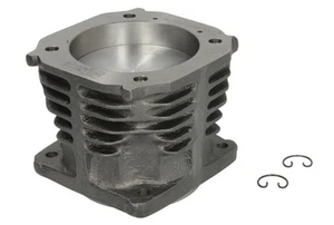Kolben und Zylinderlaufbuchse, Druckluftkompressor DT Spare Parts 4.90231 - Bild 1 von 1