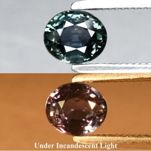๐ 0.50ct 4.8x4mm VS Oval Color Change Sapphire - Unheated, Elegant Songea Gem - Picture 1 of 6