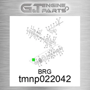 TMNP022042 BRG fits INTERNATIONAL TRUCK (New OEM Open Box) - Picture 1 of 3