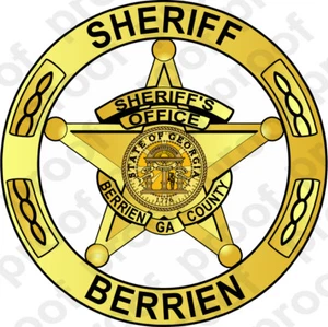 STICKER CIVIL BERRIEN COUNTY SHERIFF BADGE GOLD - Picture 1 of 2