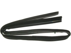 Door Window Glass Run Channel For 1975-1980 Dodge W300 1976 1977 1978 DW551YY - Picture 1 of 1
