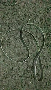Omega OWD 6000 WA Washing Machine Drum Drive Belt ( S6 ).. - Picture 1 of 4