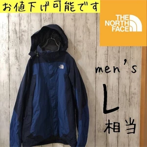 North Face Mountain Parka Blue Navy Men'S L - Picture 1 of 9