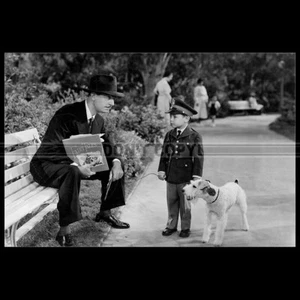 Photo F.029063 WILLIAM POWELL (SHADOW OF THE THIN MAN) 1941 - Photo 1/1