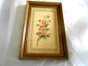 Wilder Stiel rosa Rosen auf Karton in sehr altem goldfarbenem Rahmen - Bild 1 von 4