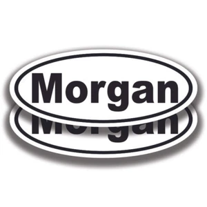 DECALCOMANIE NOME MORGAN 2 Adesivi Bogo Auto Camion Paracolpi Finestra - Foto 1 di 1