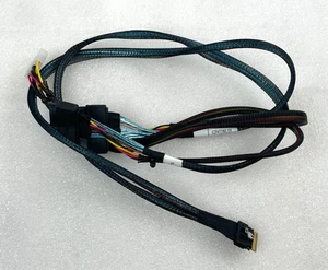 Amphenol RSL74-6516 SlimSAS 8X U.2 SFF-8654 to SFF-8639 NVMe Adapter Cable - Afbeelding 1 van 4