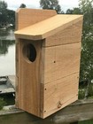 Squirrel House Nesting Box 3/4" Solid Cedar Owl 3 Different Sizes TOP SELLER!!!!