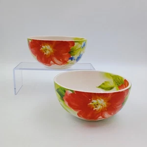 Pier 1 Soup Amelia Cereal Bowls Set of 2 Floral Ironstone Red Orange Blue - Picture 1 of 9