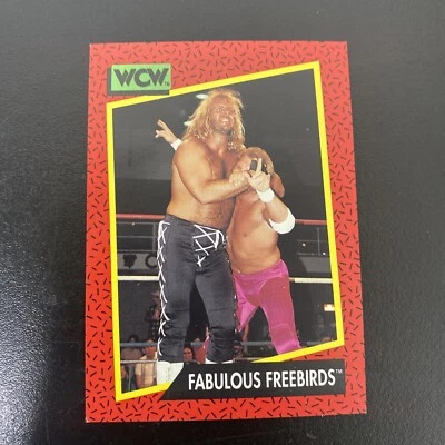 1991 IMPEL WCW FABULOUS FREEBIRDS #123 - Image 1 of 2