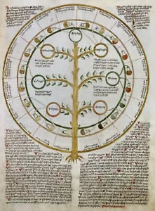 Unknown Artist : "Uroscopy Wheel" (c.1420-1430) — Giclee Fine Art Print - Picture 1 of 7