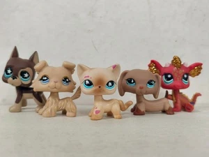 5 Stck./Posten Littlest Pet Shop Figur LPS Katze Hund #817#1194#816#518#2484 Kinderspielzeug - Bild 1 von 6