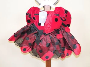 Koala Kids 2-Piece Lady Bug Ladybug Halloween Costume With Hat 6M 9M 12M **NEW** - Picture 1 of 7
