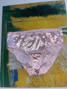 Victoria's Secret VINTAGE Y2K 2000 Silky Second Skin High Hi-Cut Brief Panties - Picture 1 of 13