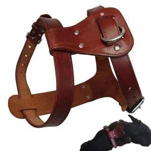 Arnés de cuero genuino resistente duradero para perros pequeños medianos grandes caja ↑ - Imagen 1 de 16