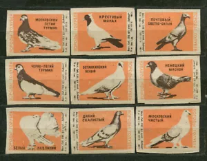 1965, PÁJAROS, PALOMAS, CONJUNTO DE 9 ETIQUETAS ANTIGUAS DE CAJA DE CERILLAS RUSAS, AMARILLO - Imagen 1 de 1