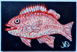 Original Acryl Gemälde auf 4"x6" Leinwand Panel eines roten Schnapperfisches - Bild 1 von 2