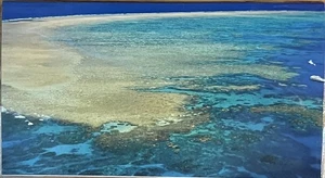 2026-2027 2-Jahres-Datumsbuch, Geldbörse/Taschenkalender, Planer - Riff - Bild 1 von 3