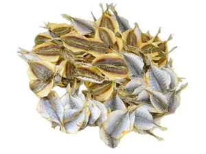 Pesce secco | Nastro d'oro Selar | essiccato e essiccato | Желтый полосатик | 500 g - Foto 1 di 1