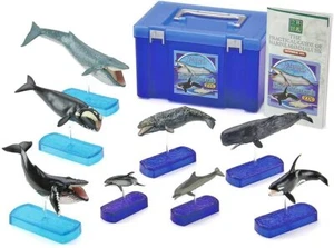 Figura Real Colorata Mamíferos Marinos De Lujo CAJA DX Nuevo Japón Envío Grabado con T - Imagen 1 de 9