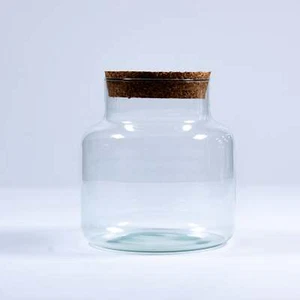 Glass Terrarium Container 20cm Stout Closed Terrarium Vessel With Cork Lid - Picture 1 of 6