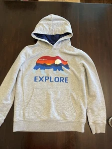 Eddie Bauer Sweater Boys Medium Gray Hoodie Sweatshirt Pullover Bear Outdoors - Picture 1 of 5