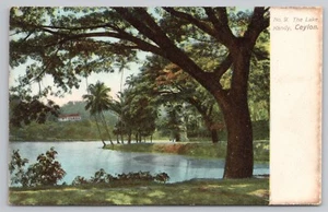 Der See in Kandy Ceylon (Sri Lanka) um 1910 Postkarte - Bild 1 von 2