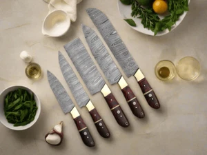Custom Handmade Damascus Steel Kitchen Knife Set _ 5 Pieces Chef Collection - Picture 1 of 6