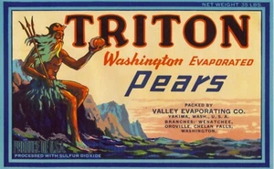 Original TRITON pear crate label Valley Evaporating Yakima Washington Neptune - Picture 1 of 1