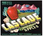 Original 1940S Crate Label Vintage Cascade Cashmere Surrealism Art Apple Scarce
