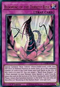 Blooming of the Darkest Rose L5DD-ENA25 - Ultra Rare - PREORDER 11/21 - Picture 1 of 1