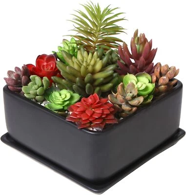 MYGIFT 7 inch Square Ceramic Succulent Planter Pot with Drainage Tray, Window Box