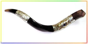 Rosh Hashaná plateado 27" Shofar Kudu yemenita - Imagen 1 de 1