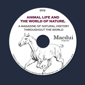 Animal life and the world of nature 1902-1904 - 2 Pdf E-books 1 Data DVD Zoology - Picture 1 of 12